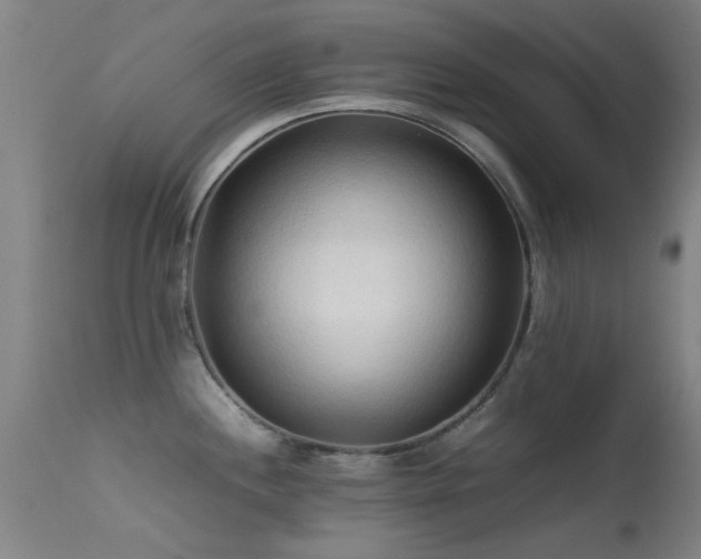 X0000113241244200909171555