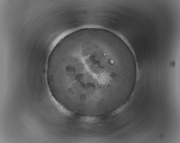 X0000113241245200909171555