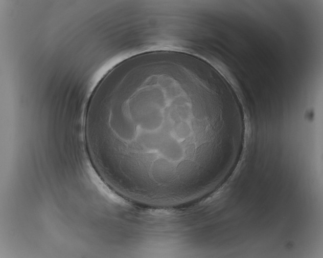 X0000113241246200909171555