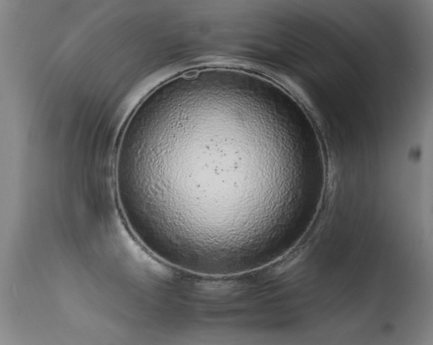 X0000113241247200909171555