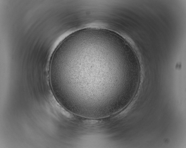 X0000113241248200909171555