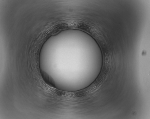 X0000113241249200909171554