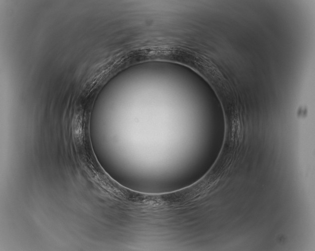 X0000113241250200909171554