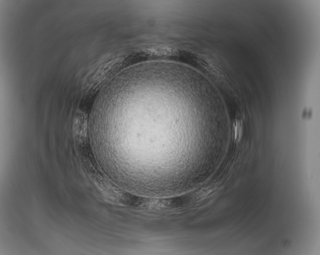 X0000113241251200909171554