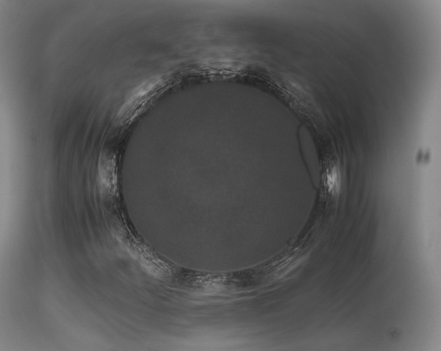 X0000113241252200909171554