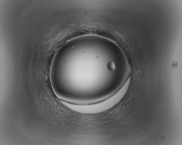 X0000113241253200909171554