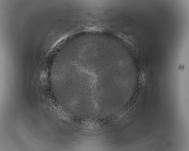 X0000113241254200909171554