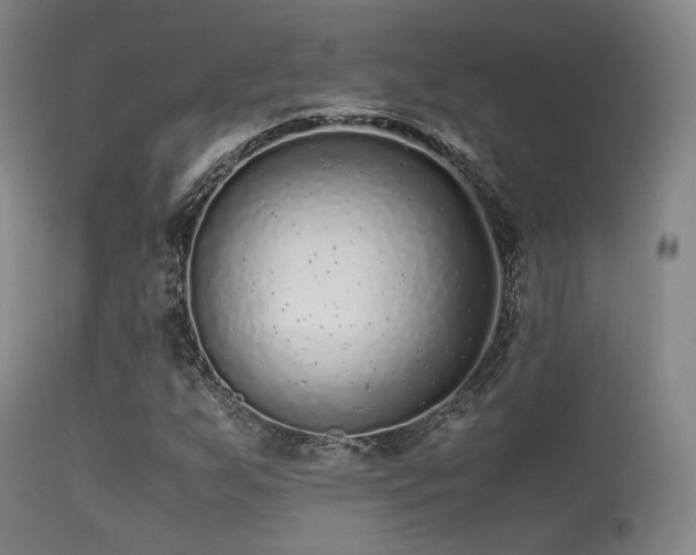 X0000113241255200909171554