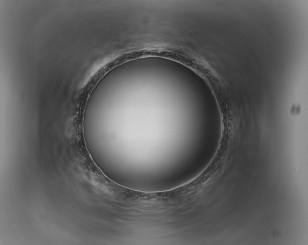 X0000113241256200909171554