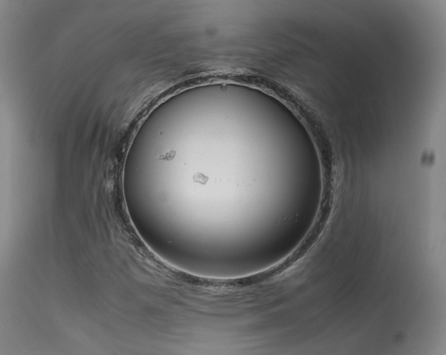 X0000113241257200909171554