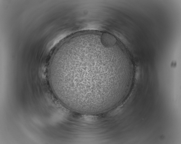 X0000113241258200909171554