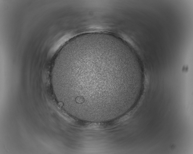 X0000113241259200909171554