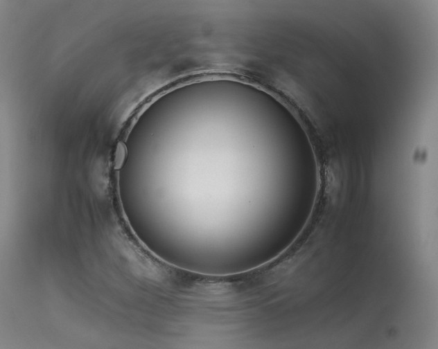 X0000113241260200909171554