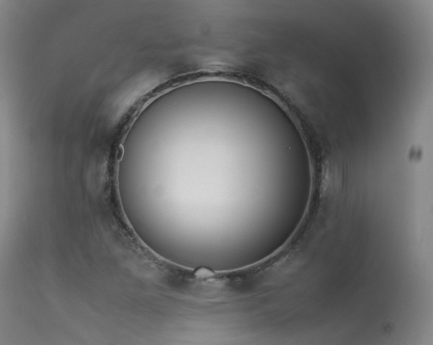 X0000113241261200909171554