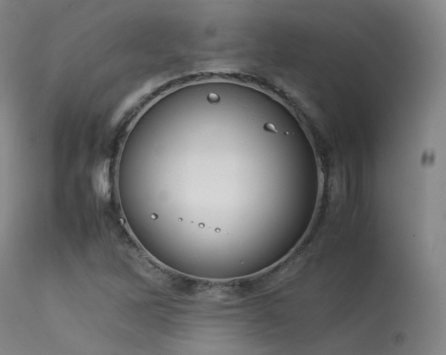 X0000113241262200909171554