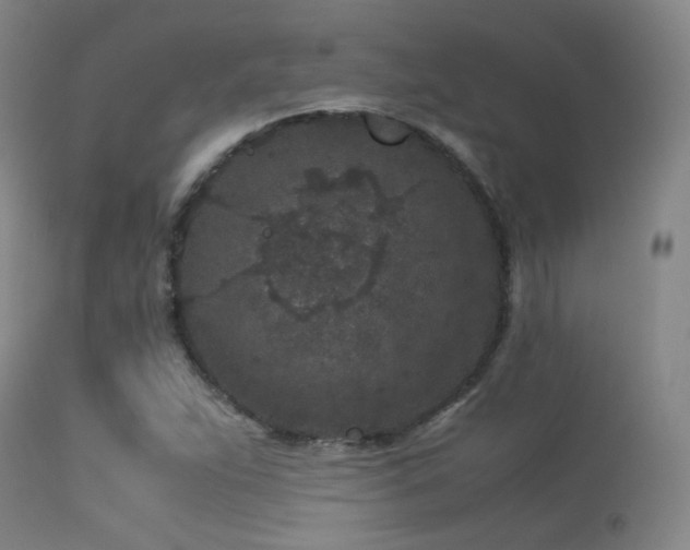 X0000113241263200909171554