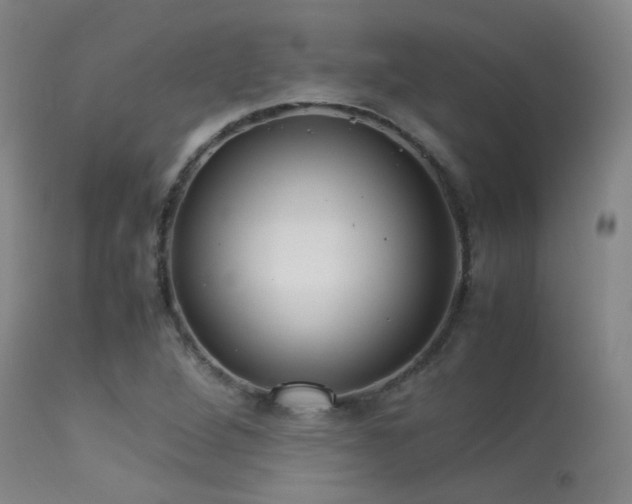 X0000113241264200909171554