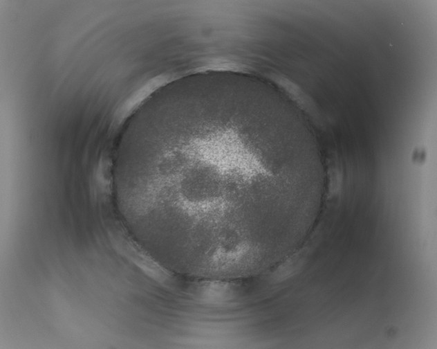 X0000113241266200909171554