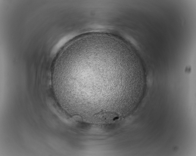 X0000113241267200909171554