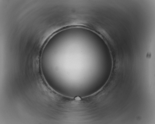 X0000113241268200909171554