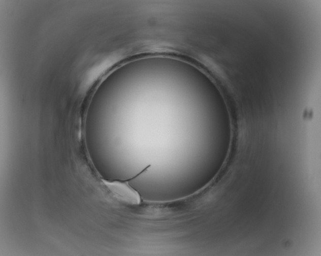 X0000113241269200909171554