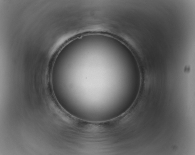 X0000113241270200909171554