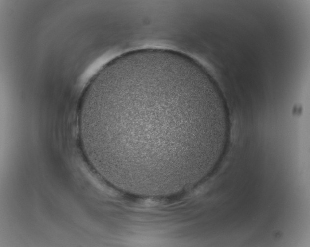 X0000113241271200909171554