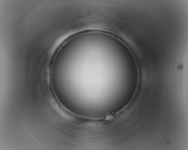 X0000113241272200909171554