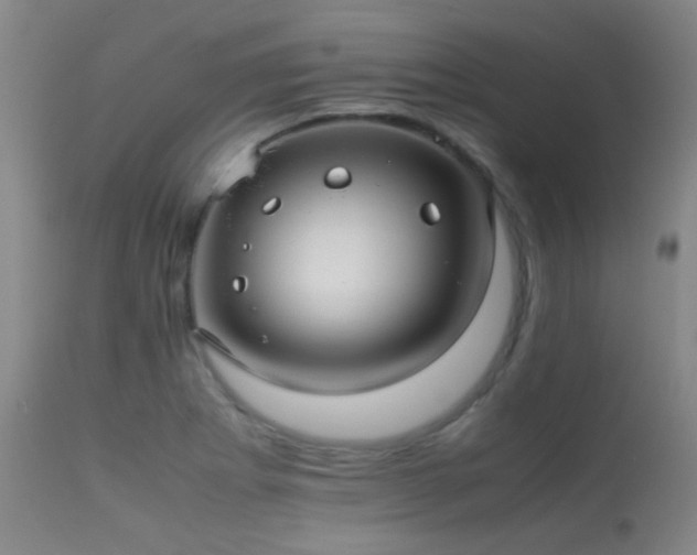 X0000113241273200909171554