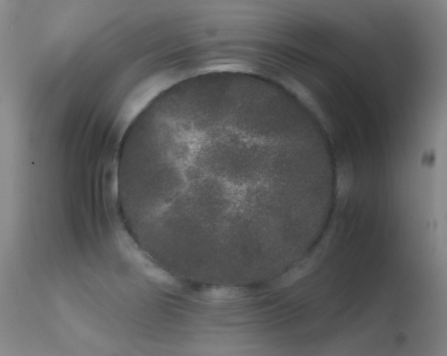 X0000113241274200909171554