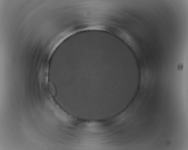 X0000113241276200909171554