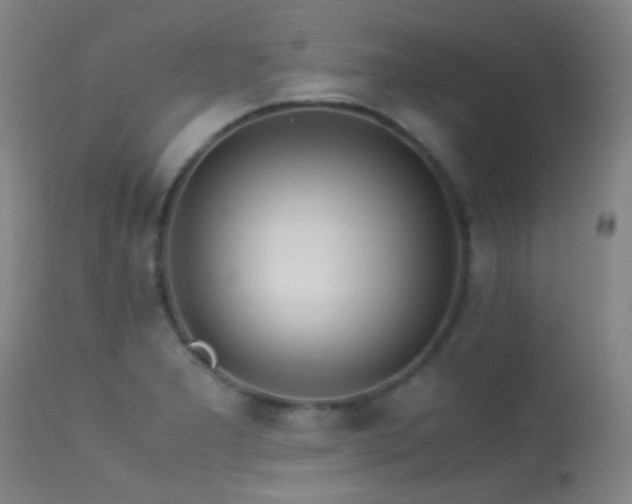 X0000113241277200909171554