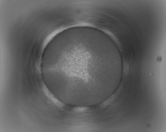 X0000113241278200909171554