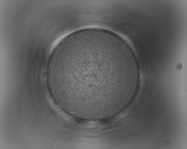 X0000113241279200909171554