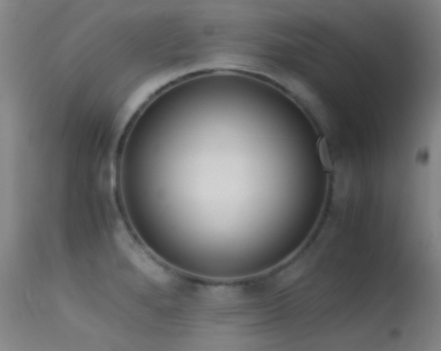 X0000113241280200909171554