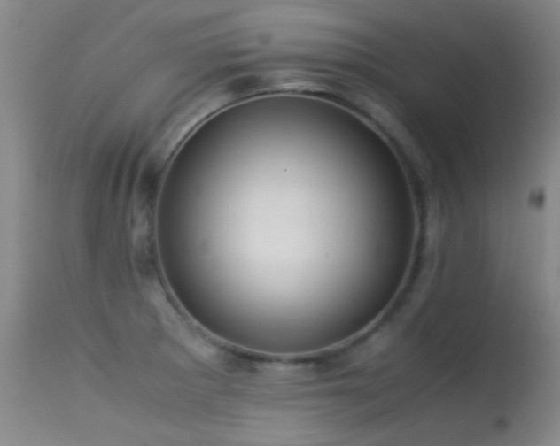 X0000113241281200909171554