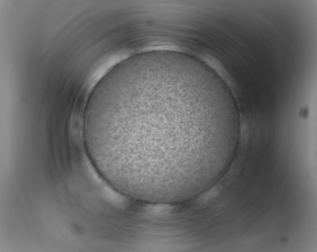 X0000113241282200909171554