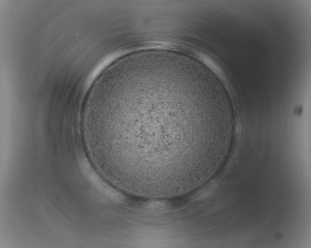 X0000113241283200909171554