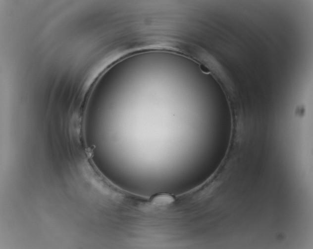 X0000113241284200909171554