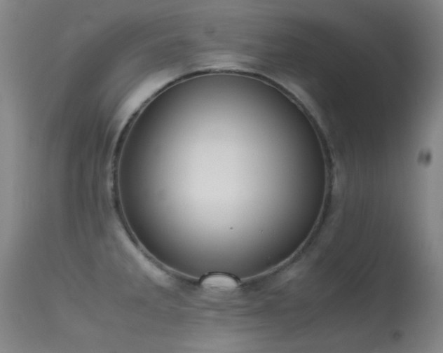 X0000113241285200909171554