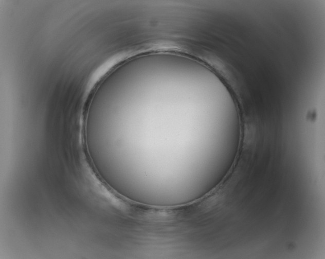 X0000113241286200909171553