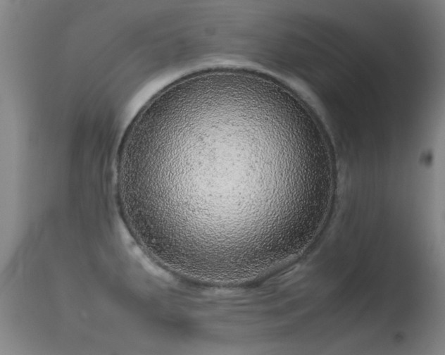 X0000113241287200909171553