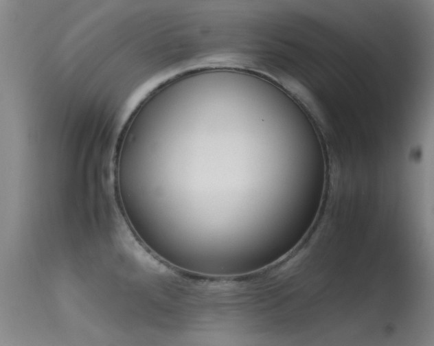 X0000113241288200909171553