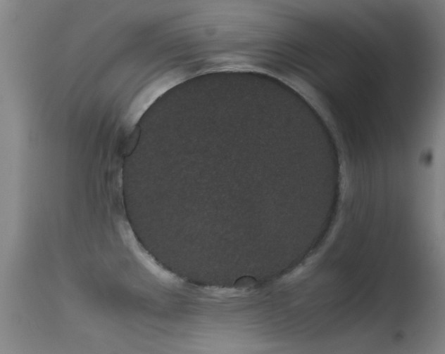 X0000113241289200909171553