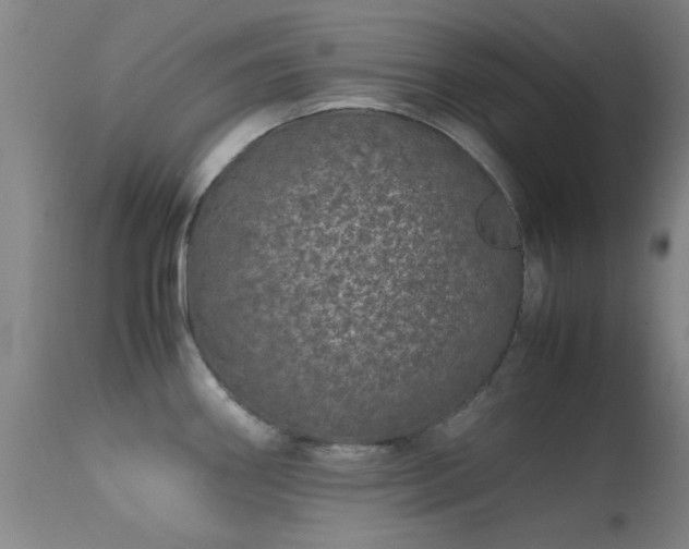 X0000113241290200909171553