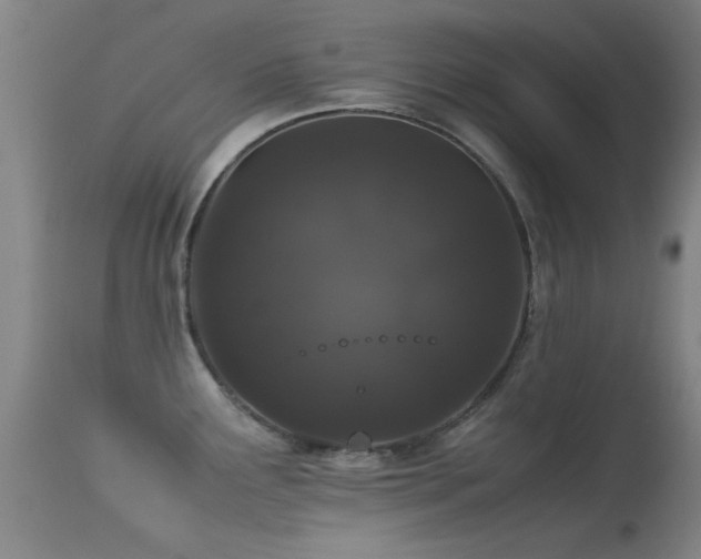 X0000113241291200909171553