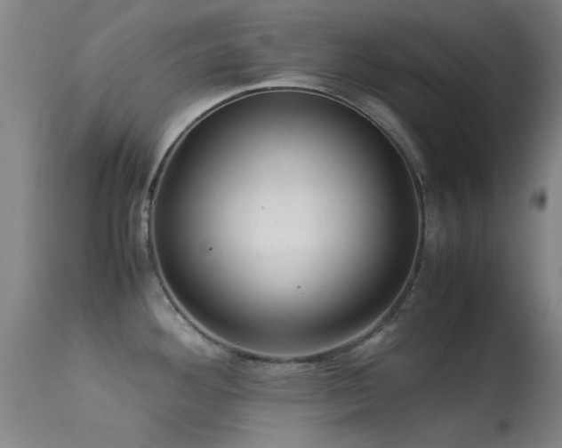 X0000113241292200909171553