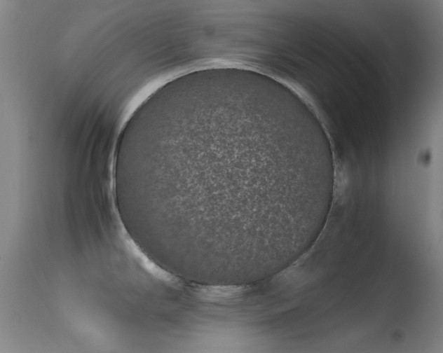 X0000113241294200909171553