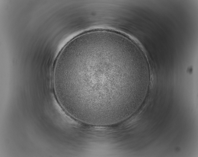 X0000113241295200909171553