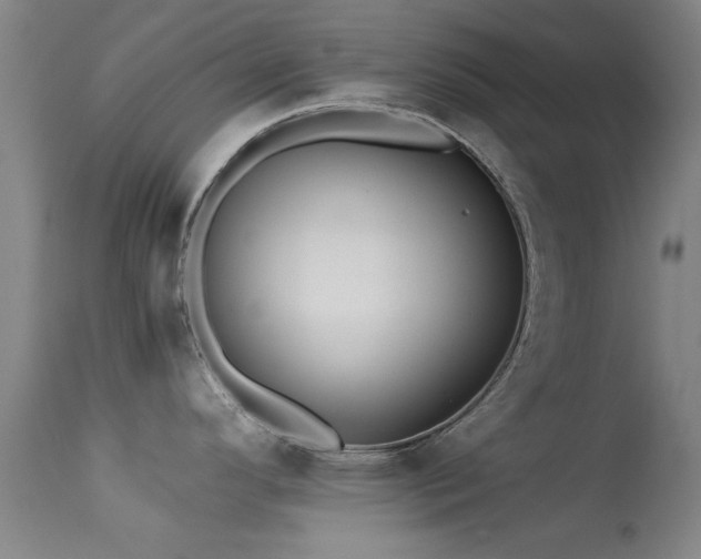 X0000113241296200909171553